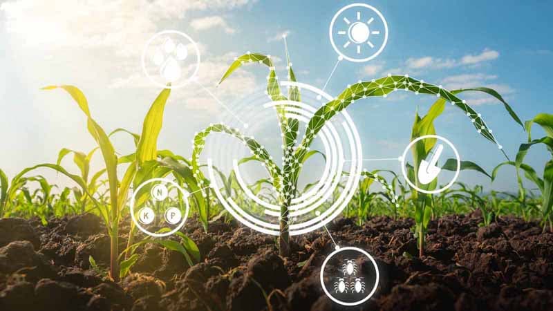 AgriSense
